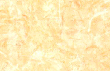 SL225503