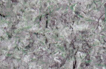SL225513
